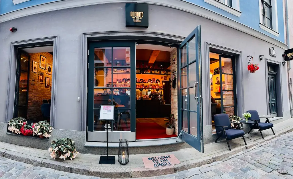 Andante Vinyl bārs ar vinila skaņu